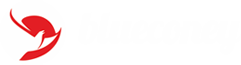 www.blueconey.in